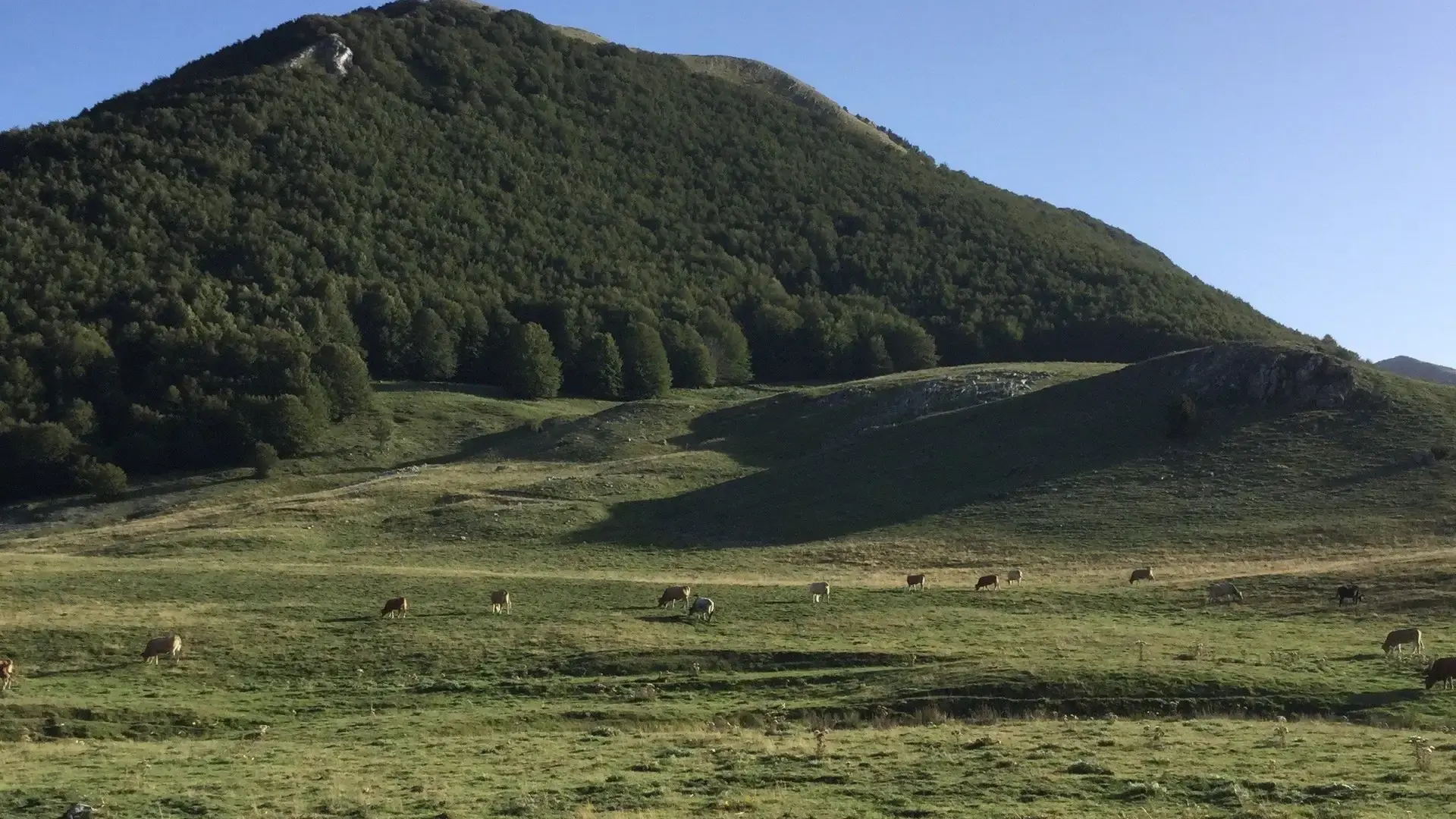 Escursione sul Pollino