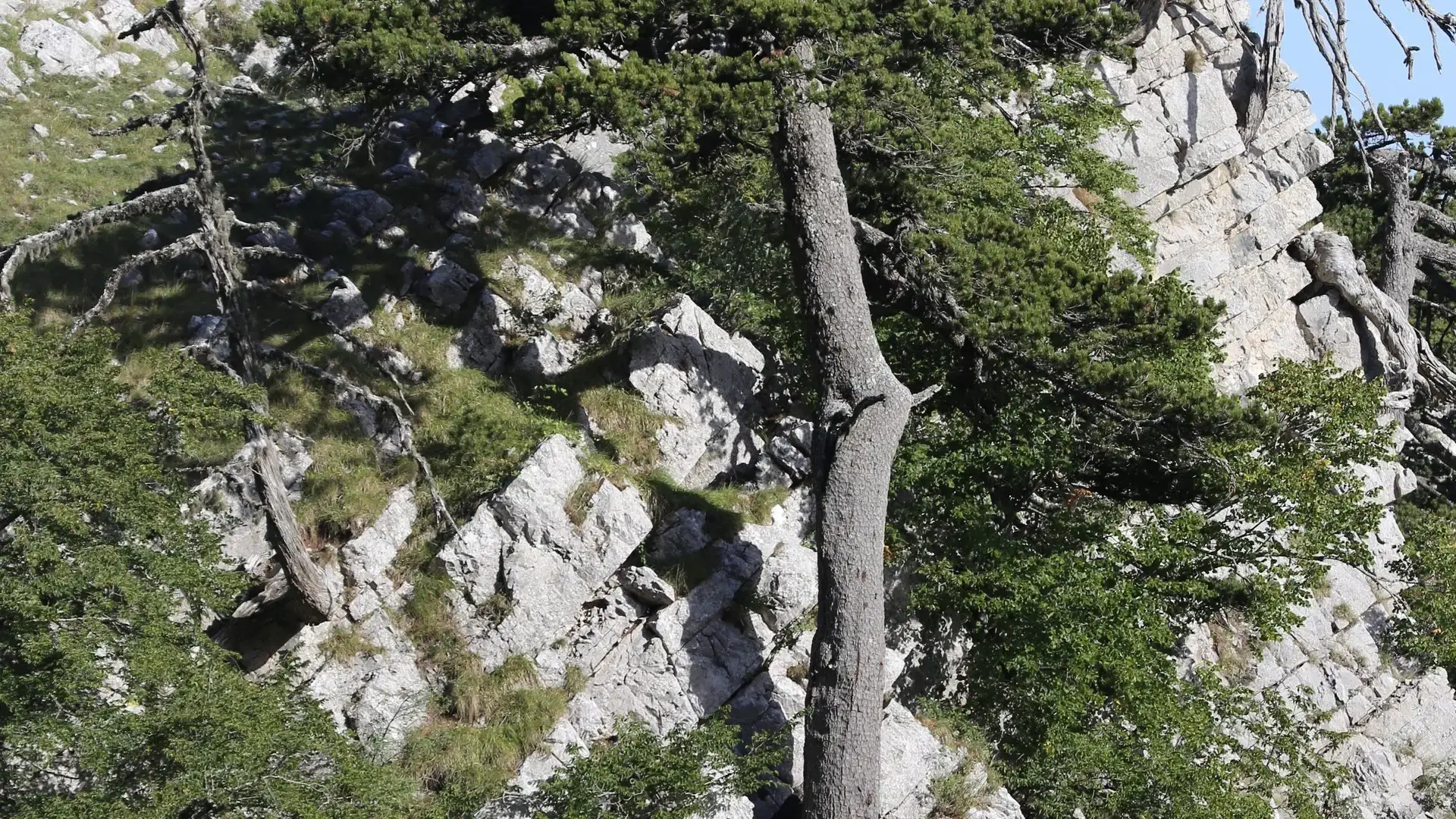 Escursione sul Pollino