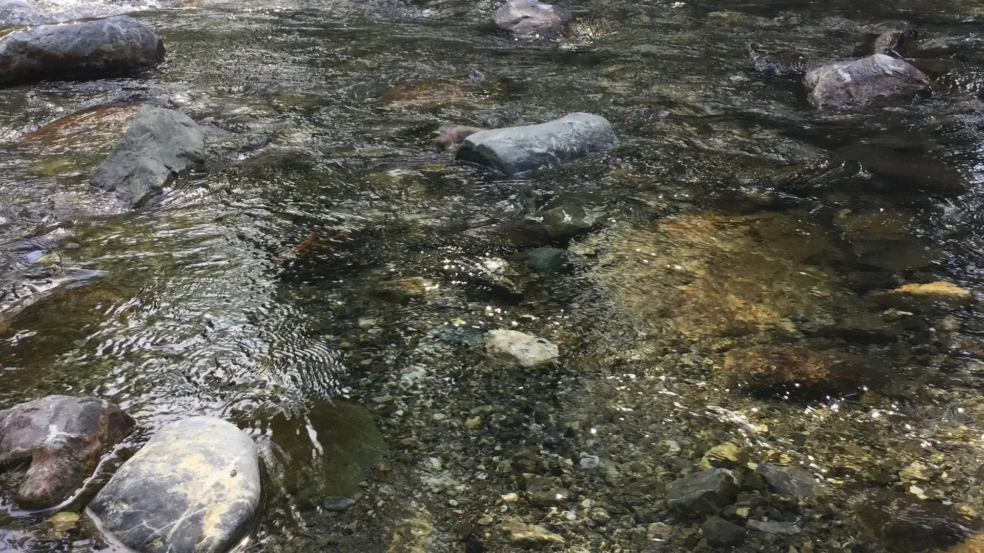 Escursione sul Pollino